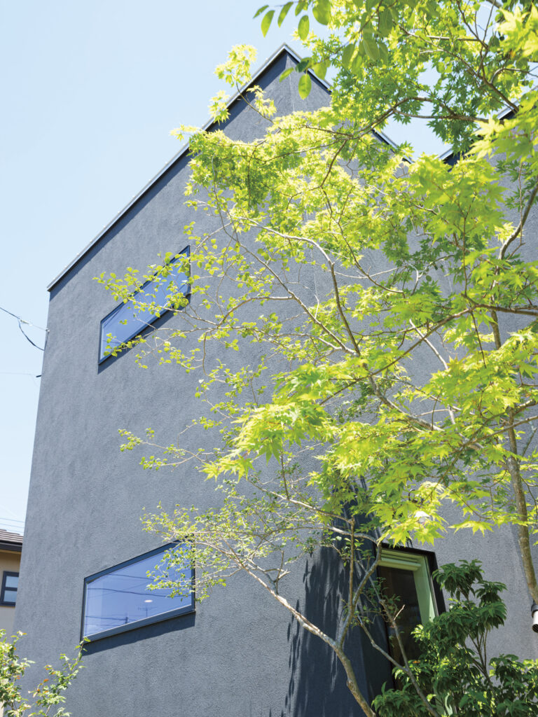 土間にハンモック。犬も喜ぶ家